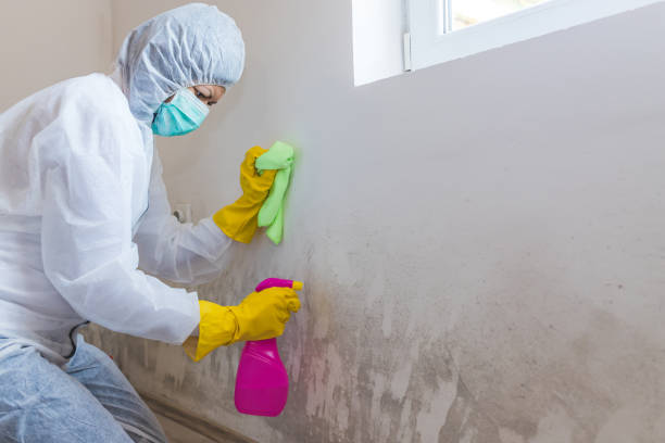 Best Crawl Space Mold Remediation  in Reedsburg, WI