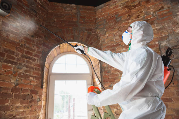 Best Asbestos and Lead Testing During Mold Inspection  in Reedsburg, WI