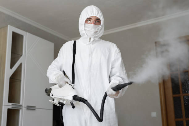 Best Mold Remediation for Healthcare Facilities  in Reedsburg, WI