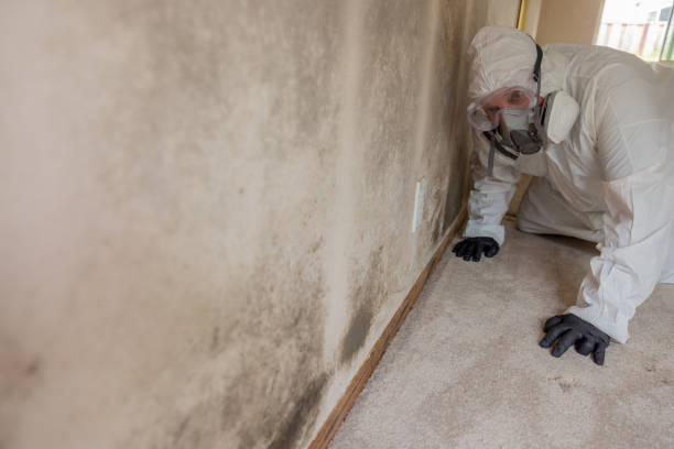 Best Forensic Mold Investigation  in Reedsburg, WI